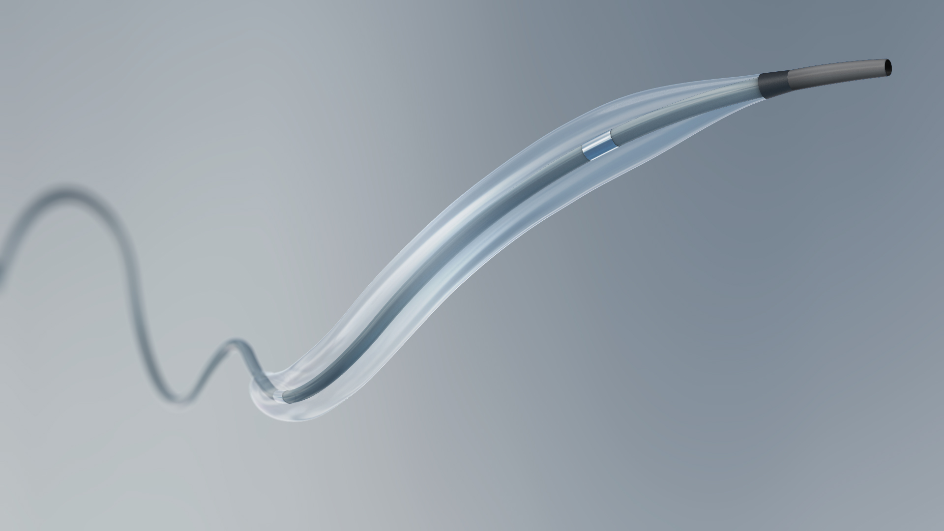 PTCA Balloon Catheter