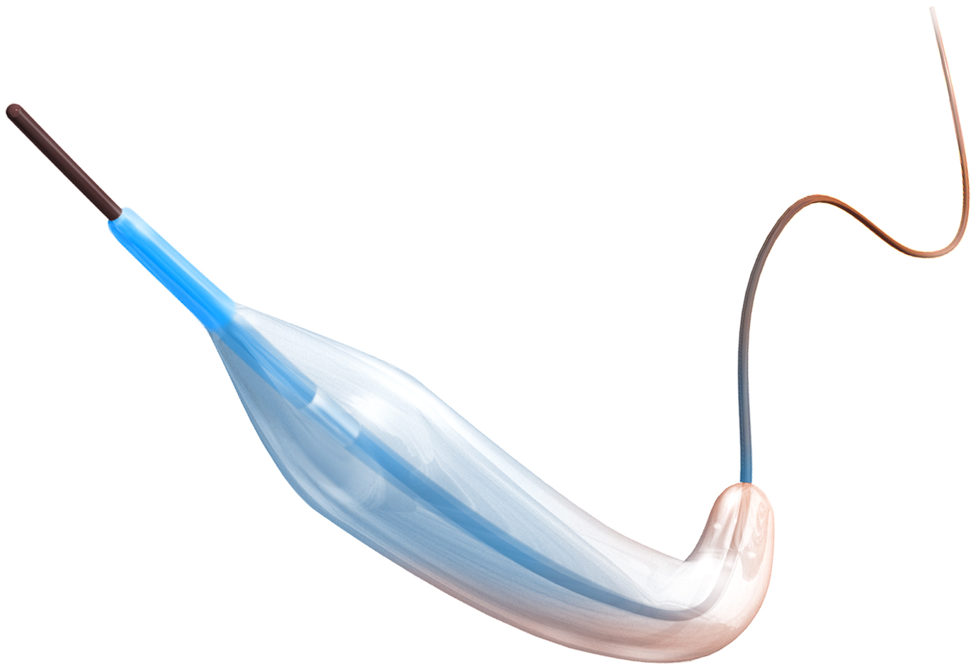 Tercross® Balloon Dilatation Catheter